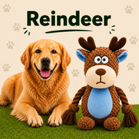 Reindeer