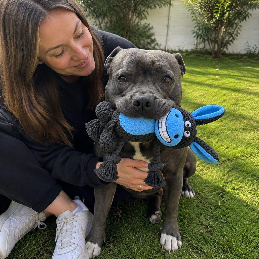 Tough Plushies – For Dogs Who Destroy Everything